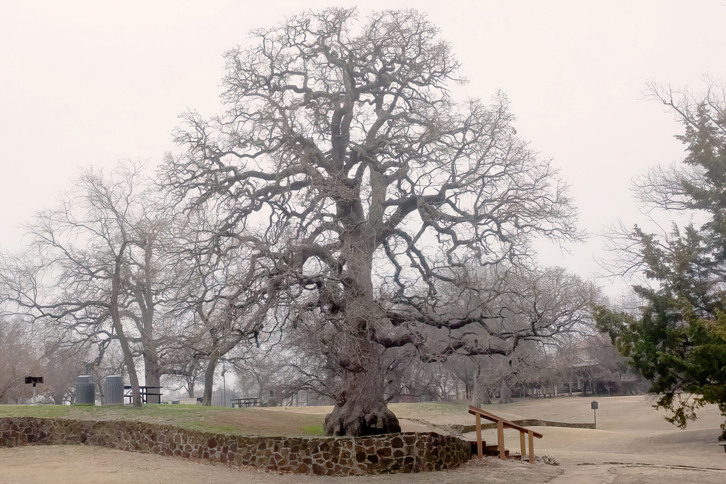 Grapevine Spring, Historic Shrine