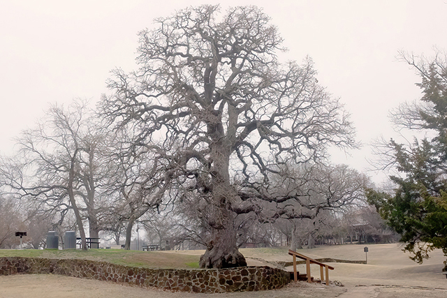 Grapevine Spring, Historic Shrine